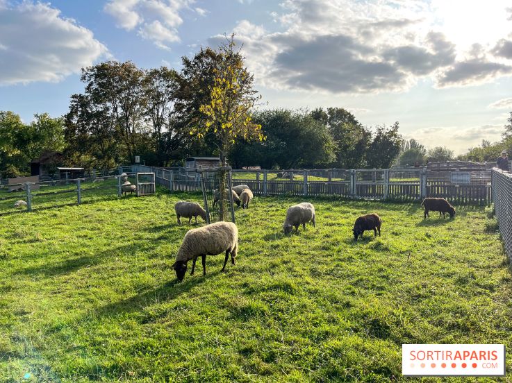 La ferme pédagogique du parc des Chanteraines