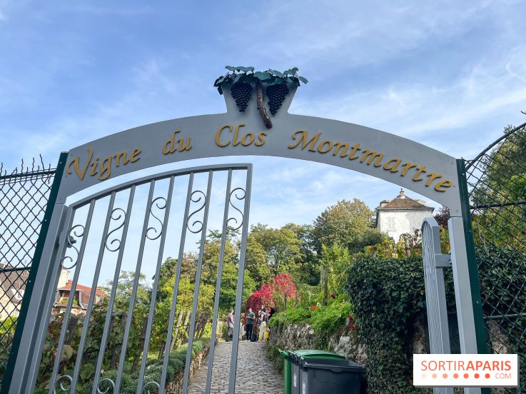 Vignes Montmartre