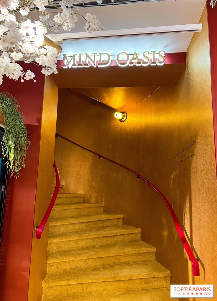 Rituals Mind Oasis - institut de relaxation mentale sur les Champs-Élysées