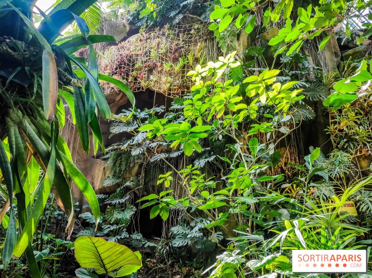 Automne Tropical 2023