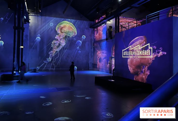 Océans, l'Odyssée Immersive à l'Atelier des Lumières - IMG 6095