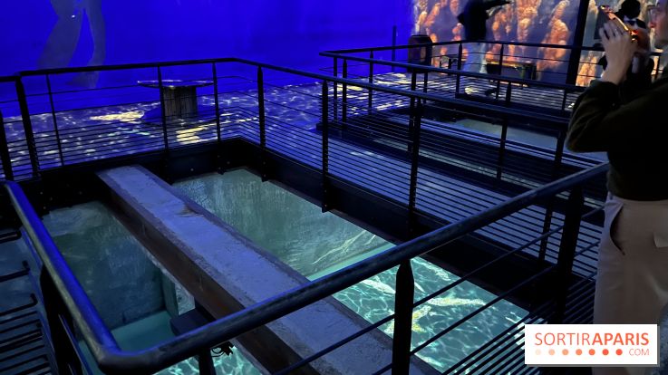 Océans, l'Odyssée Immersive à l'Atelier des Lumières - IMG 6134