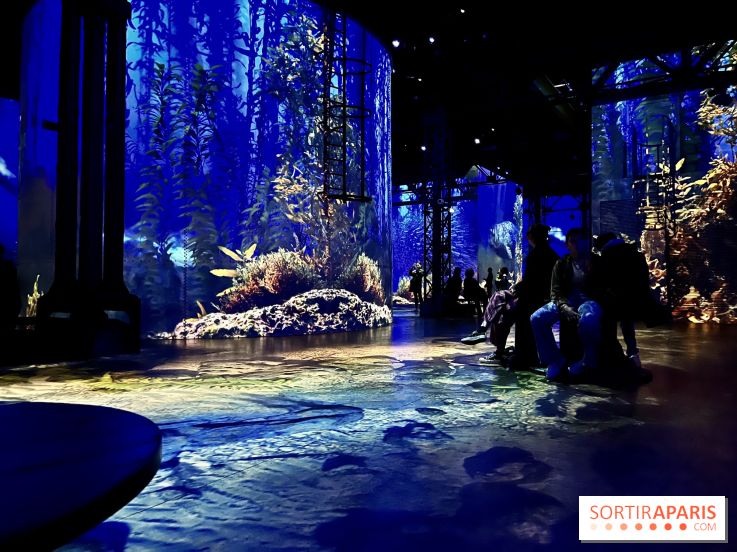 Océans, l'Odyssée Immersive à l'Atelier des Lumières - IMG 6173