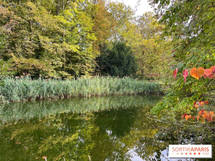 Le parc de l'Île Verte à Chatenay-Malabry - nos photos