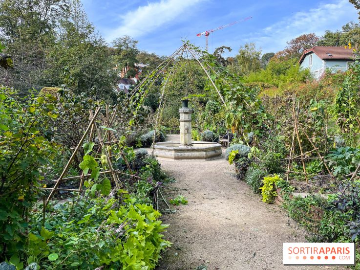 Le parc de l'Île Verte à Chatenay-Malabry - nos photos - image00538