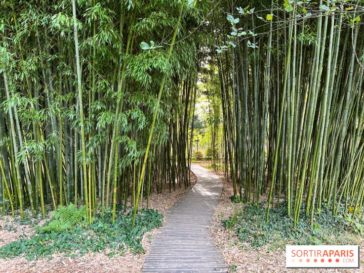Le parc de l'Île Verte à Chatenay-Malabry - nos photos - image00542