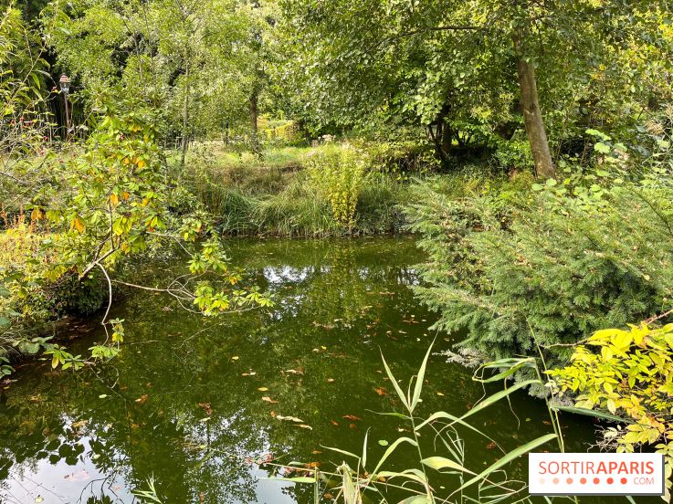 Le parc de l'Île Verte à Chatenay-Malabry - nos photos - image00517