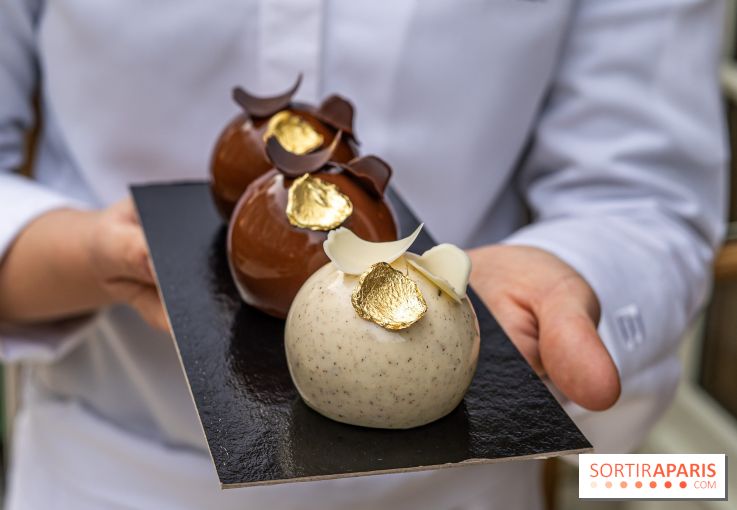 Bûche de Noël du Saint James 2023 par Jeanne Lacourt - A7C4117