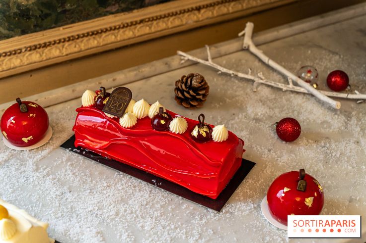 Bûche de Noël d'Angelina 2023 - A7C0403