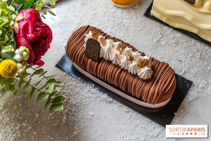 Bûche de Noël d'Angelina 2023 - A7C0410