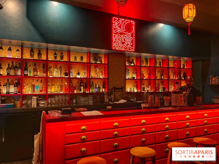 Red Poppy - IMG 6205