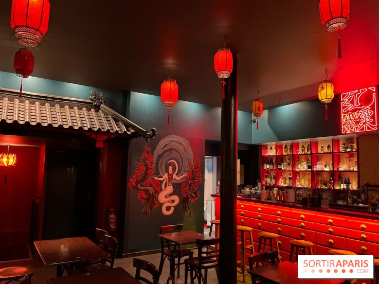 Red Poppy - IMG 6235