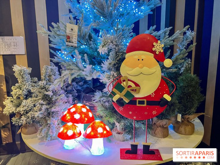 Un Noël Magique à So Ouest