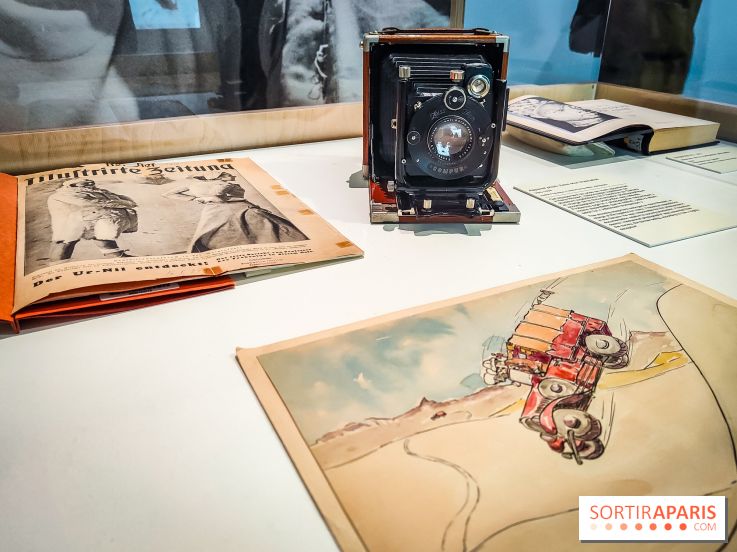 Préhistomania au Musée de l'Homme : l'exposition événement autour de l'art rupestre - nos photos - IMG20231115101004