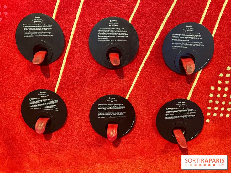 Le musée de l'Homme - collections permanentes - image00060