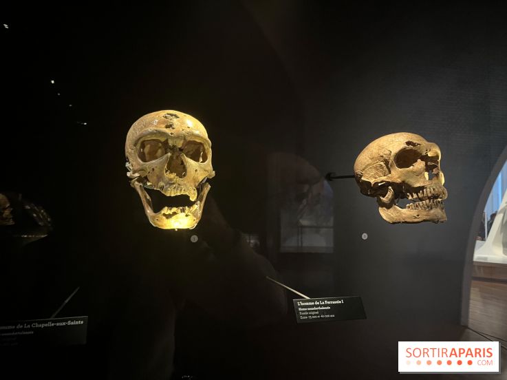 Le musée de l'Homme - collections permanentes