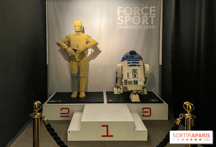 Exposition LEGO à Clichy - IMG 8848