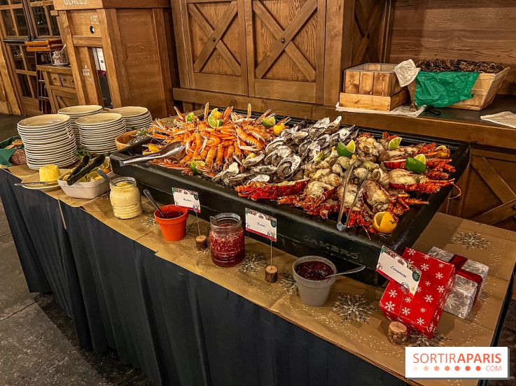 Réveillon de Noël et du Nouvel an à la Cité Suspendue du Parc Astérix - IMG 4733