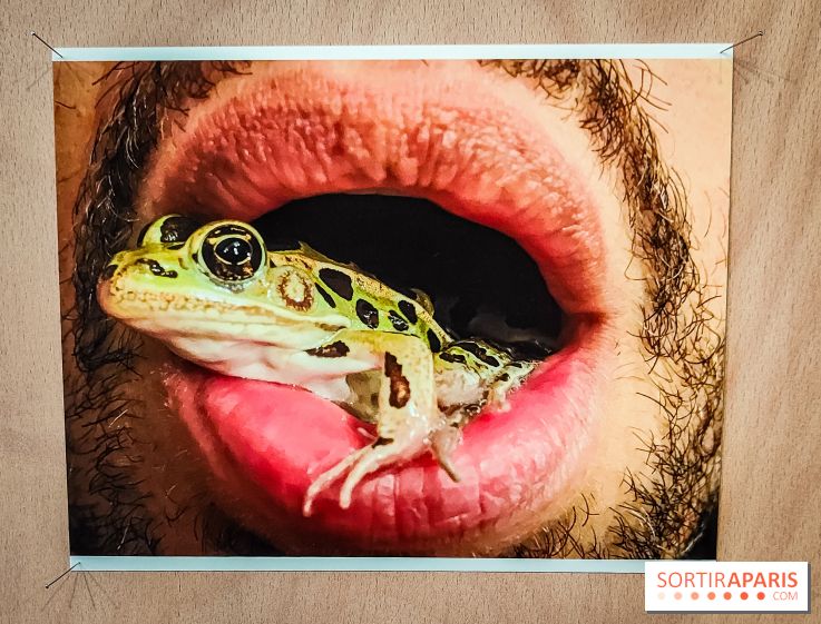 I need to live, l'exposition surprenante de Juergen Teller à voir au Grand Palais Ephémère à Paris