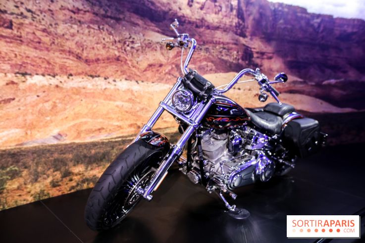 Johnny Hallyday, nos photos de l'expo à Paris - IMG 2059