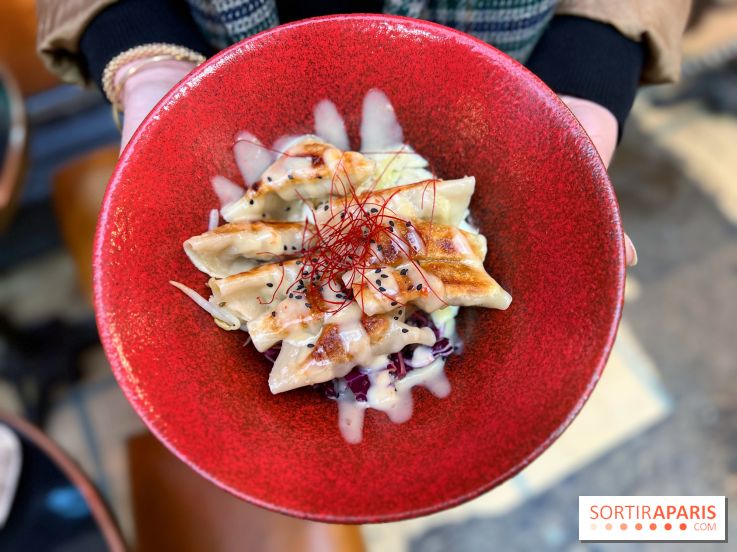 Gyoza Bar - Gyozas porc