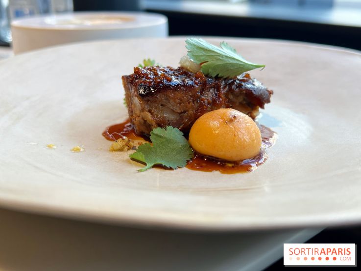 Vaisseau d'Adrien Cachot - Cochon de lait