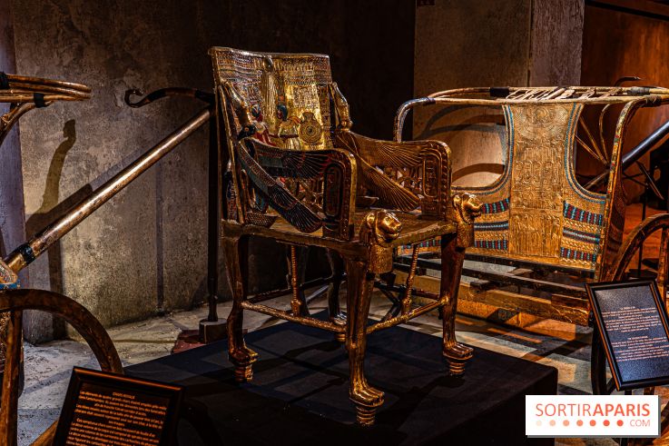 Toutankhamon, l'expérience immersive Pharaonique - les photos - A7C4278