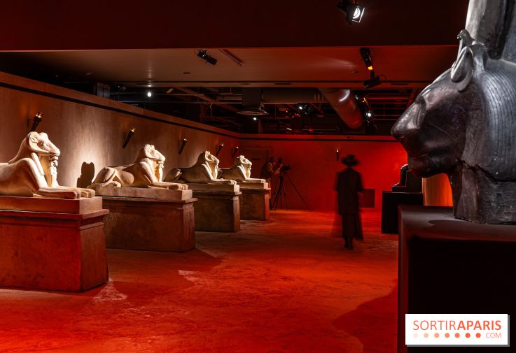 Toutankhamon, l'expérience immersive Pharaonique - les photos - A7C4305