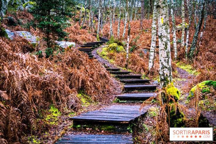 Le sentier de l'érosion à Fontainebleau - balade en forêt