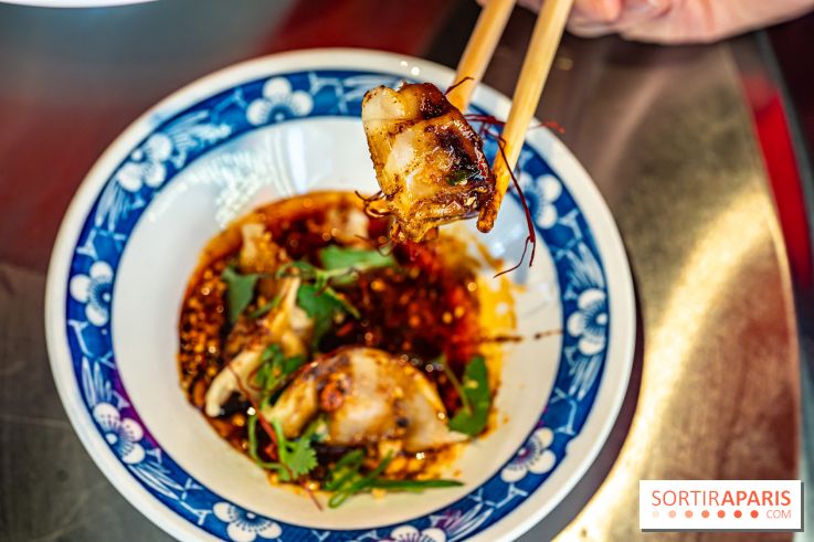 Nouilles Ban Ban restaurant - raviolis