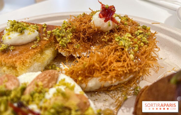 Maison Hallab - nos photos - image00013