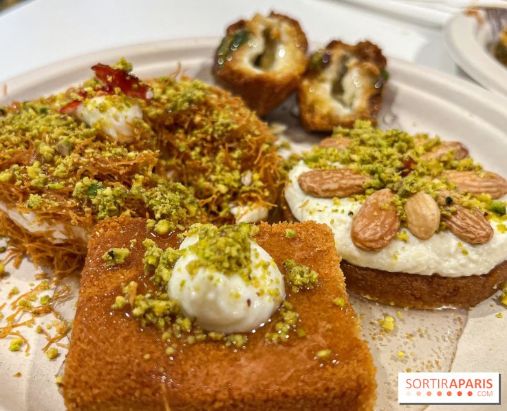 Maison Hallab - nos photos - image00011