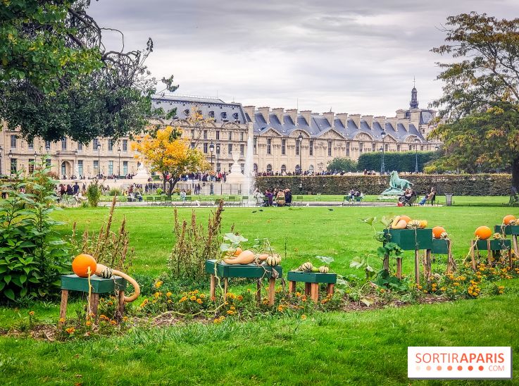 Visuel Paris 1er - jardin des Tuileries automne 