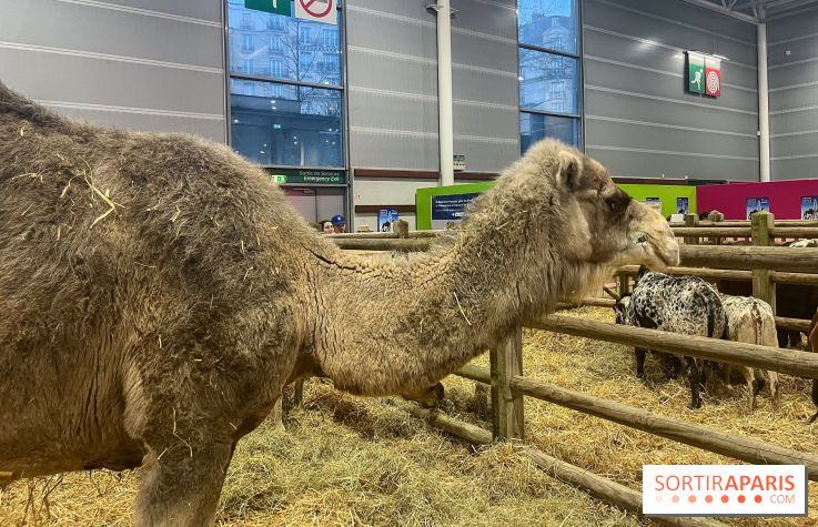 Salon de l'agriculture 2024 - image00004