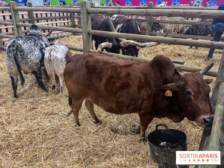 Salon de l'agriculture 2024 - image00002