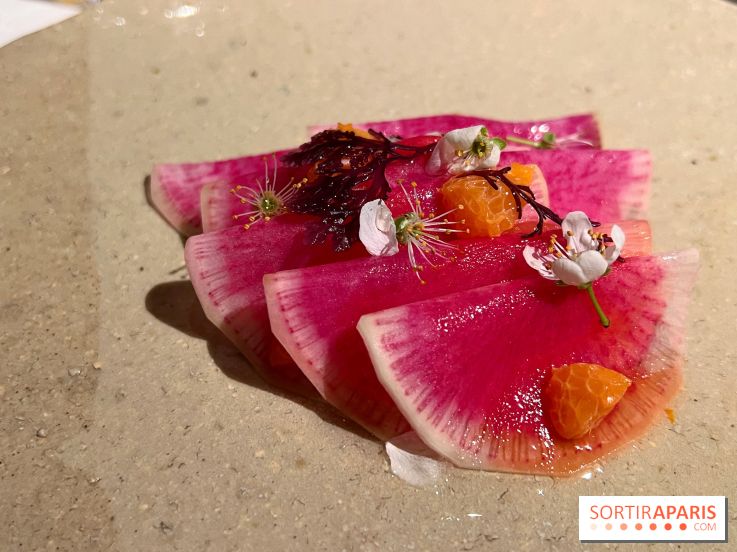 Datil - Radis, Saint-Jacques, ail