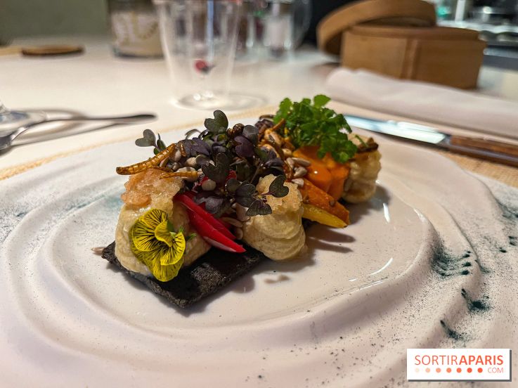 Inoveat, le restaurant gastronomique d'insectes à Paris - nos photos - image00017
