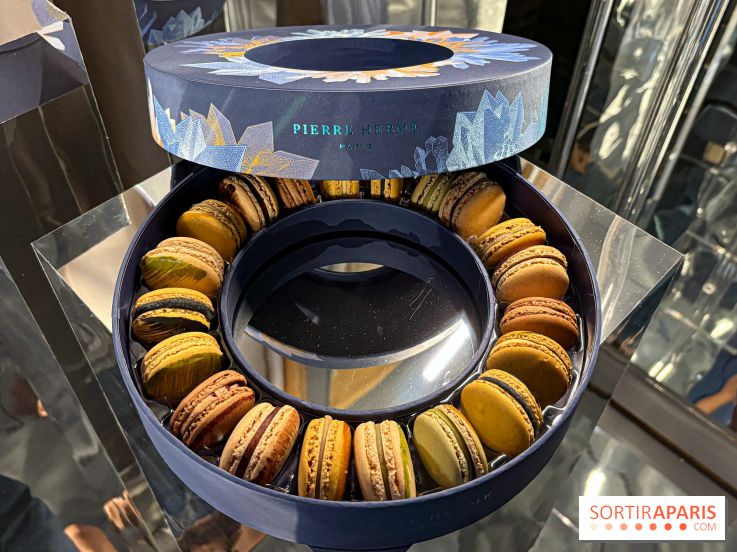 Les Bûches et créations de Noël et Fêtes de Pierre Hermé 2024, coup de cœur