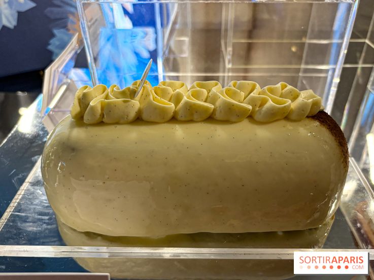 Les Bûches et créations de Noël et Fêtes de Pierre Hermé 2024, coup de cœur