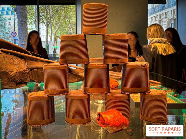 La Buche et les chocolats de Noël 2024 du MOF Patrick Roger