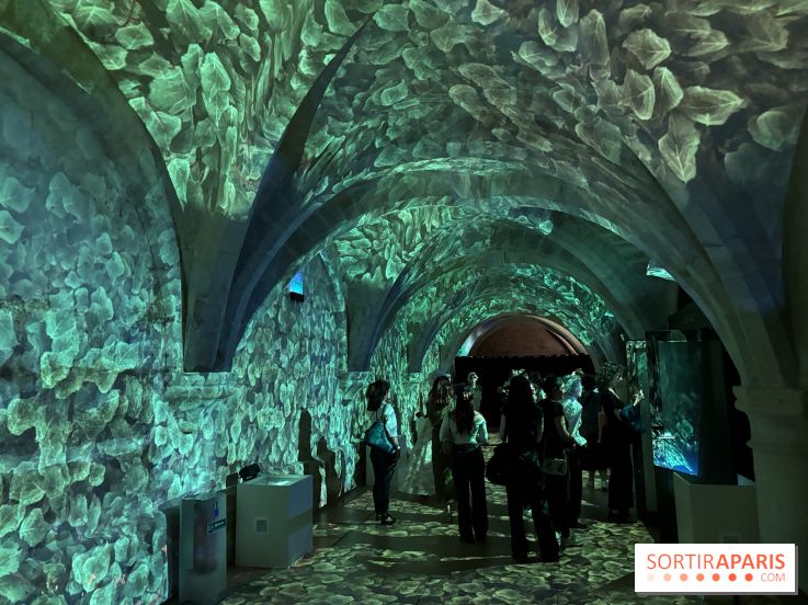 Le Mystère Mozart : un parcours immersif au Collège des Bernardins 