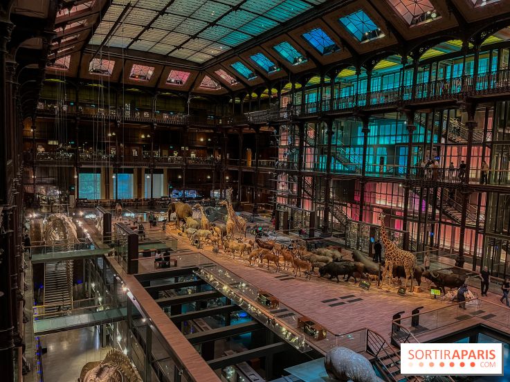 Grande Galerie de l'évolution- visuels 2024