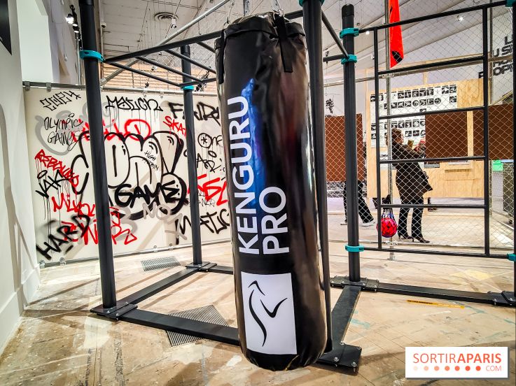 Match, design et sport : l'exposition originale du musée du Luxembourg - IMG20240311182025