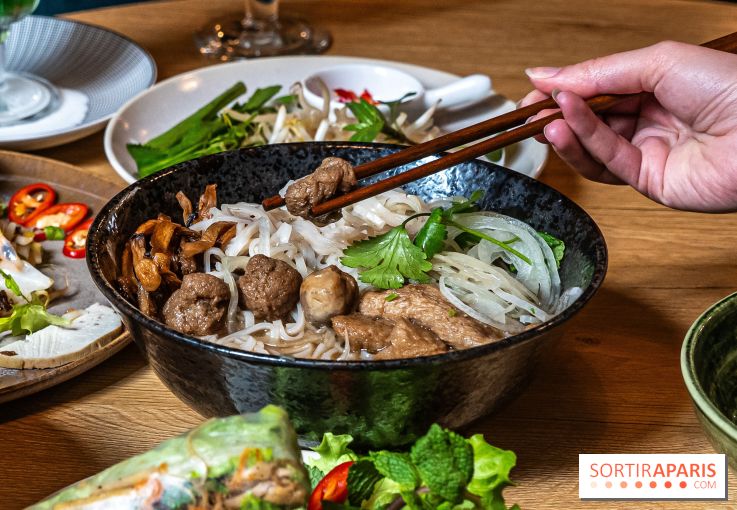 Bêp Việt, le restaurant vietnamien végétarien du 13e, les photos - pho vegan