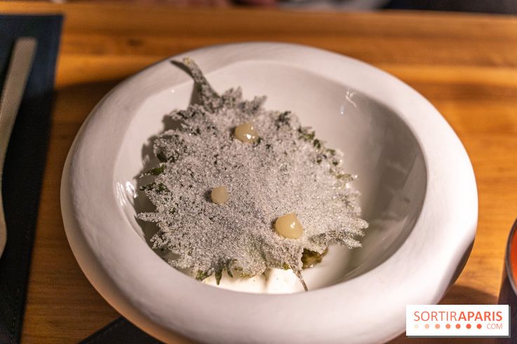 Le Panoramique, le restaurant étoilé des Yvelines à Rolleboise -  A7C0138