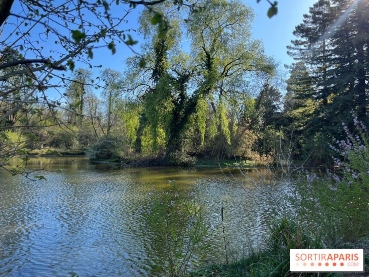 Lac de Saint-Mandé - nos photos - WhatsApp 03 22 à 16.12.39 4c5a0a5e