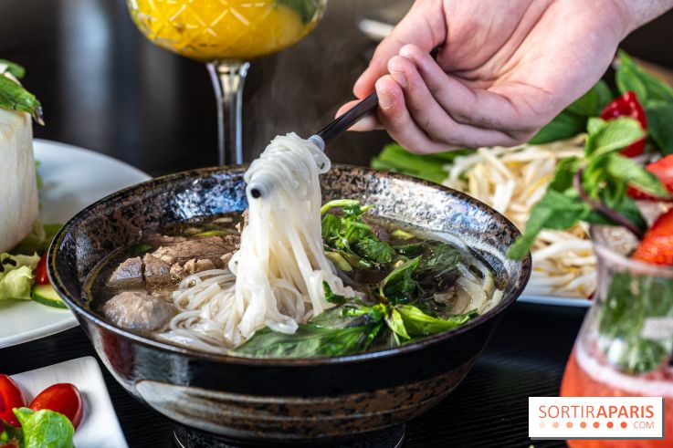 Didi Saigon, le restaurant vietnamien de Villiers sur Marne (94) -  pho