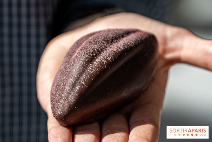 Les pâtisseries chocolatés de Pâques de Bo & Mie 2024 -  A7C9731