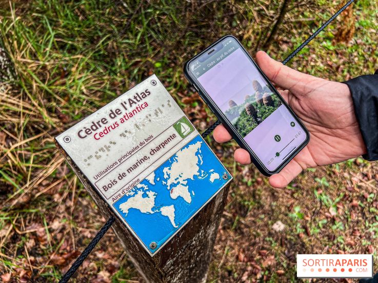 Arbor&Sens, l'Arboretum de Franchard en forêt de Fontainebleau - les photos