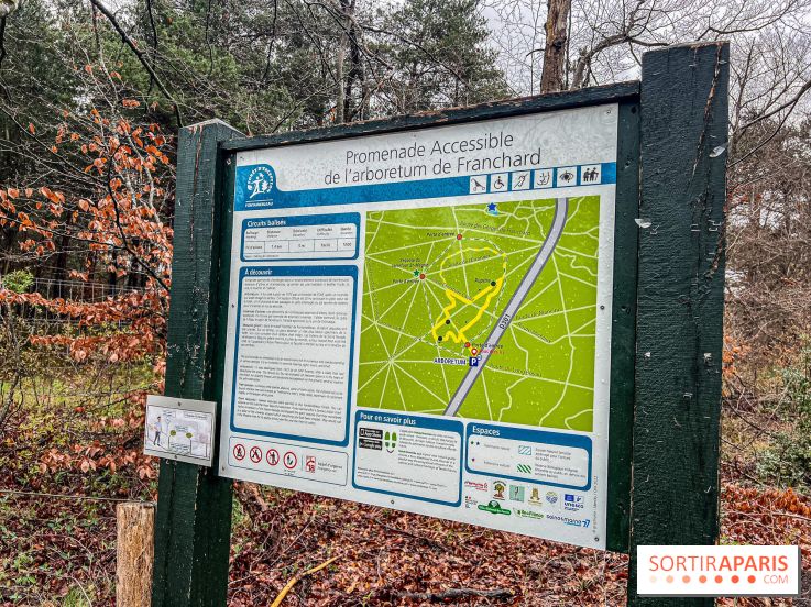 Arbor&Sens, l'Arboretum de Franchard en forêt de Fontainebleau - les photos